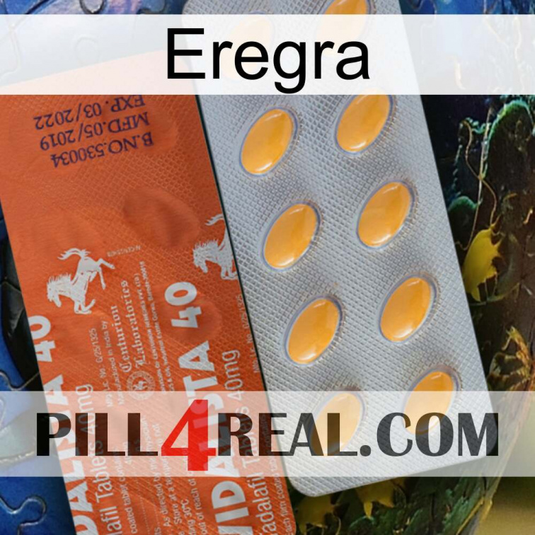 Eregra 43